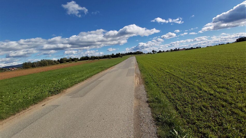 Radfahren Weizer Almenland-Radtour - Touren-Impression #2.16 | © Oststeiermark Tourismus