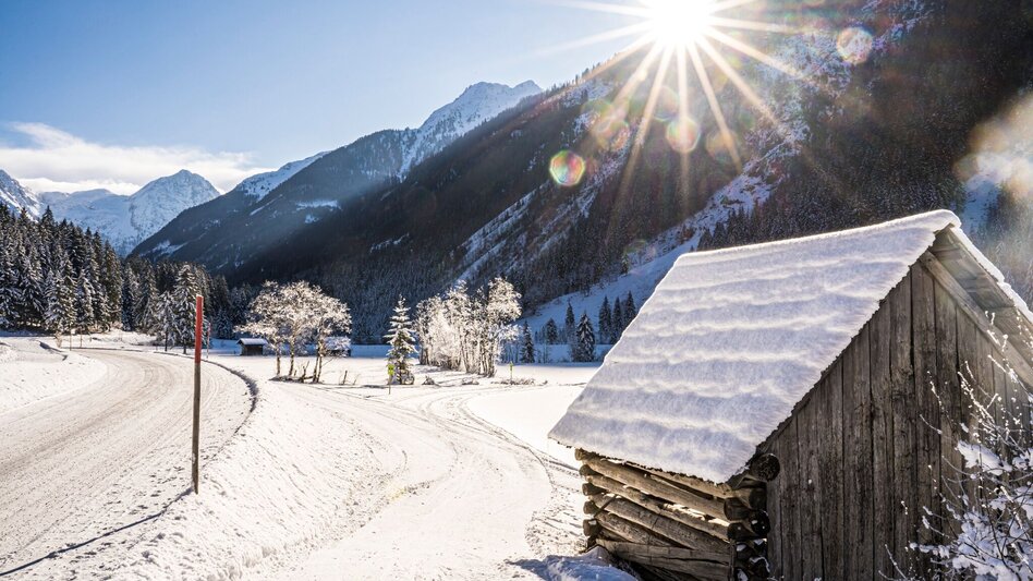 Wanderung Winterwanderweg Untertal - Touren-Impression #2.4 | © Erlebnisregion Schladming-Dachstein