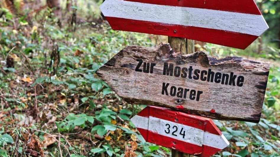 Hiking route Eppenstein Ruin - Kamper Cross - Touren-Impression #2.1 | © Weges OG