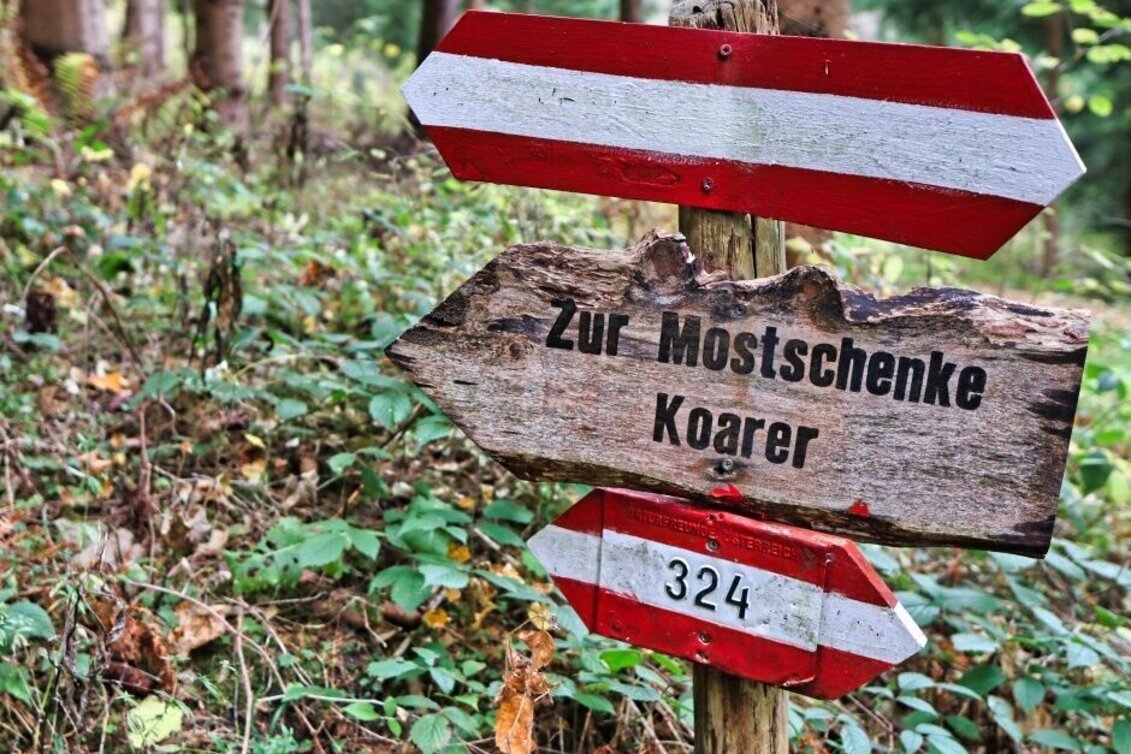 Hiking route Eppenstein Ruin - Kamper Cross - Touren-Impression #1 | © Weges OG
