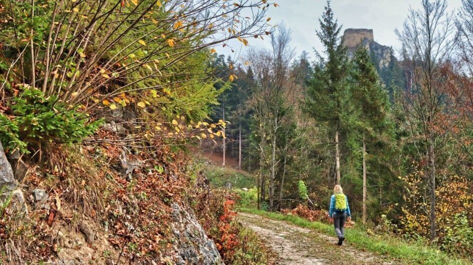 Hiking route Eppenstein Ruin - Kamper Cross - Touren-Impression #2.7 | © Weges OG