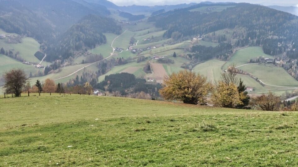 Hiking route Eppenstein Ruin - Kamper Cross - Touren-Impression #2.10 | © Weges OG