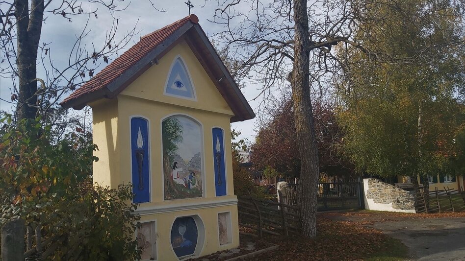 Radfahren Waldheimat Runde, Birkfeld - Touren-Impression #2.7 | © Oststeiermark Tourismus