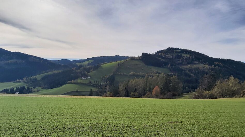 Radfahren Waldheimat Runde, Birkfeld - Touren-Impression #2.8 | © Oststeiermark Tourismus
