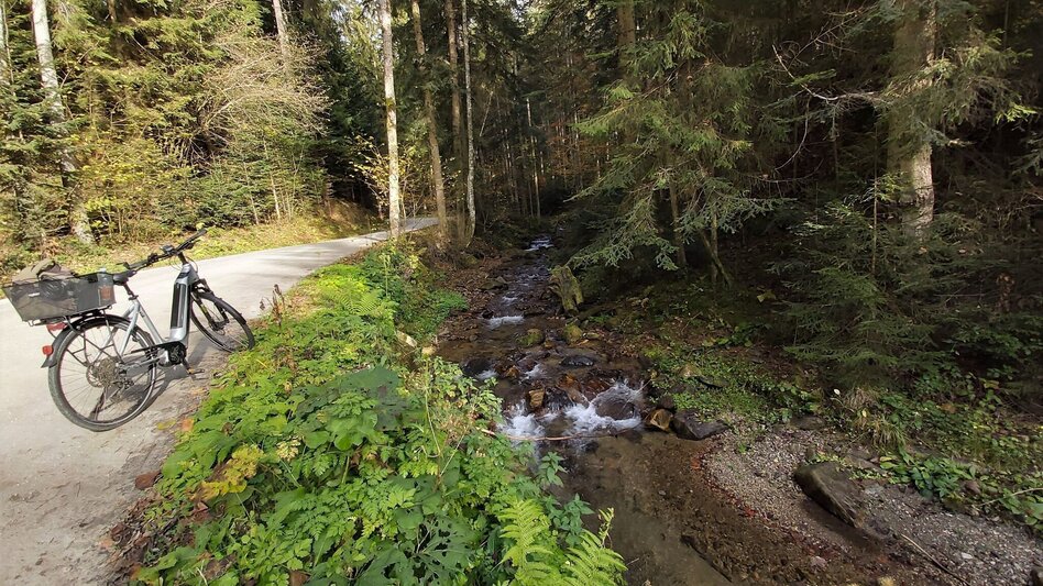 Radfahren Waldheimat Runde, Birkfeld - Touren-Impression #2.10 | © Oststeiermark Tourismus