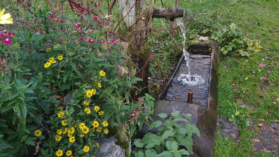Radfahren Waldheimat Runde, Birkfeld - Touren-Impression #2.12 | © Oststeiermark Tourismus