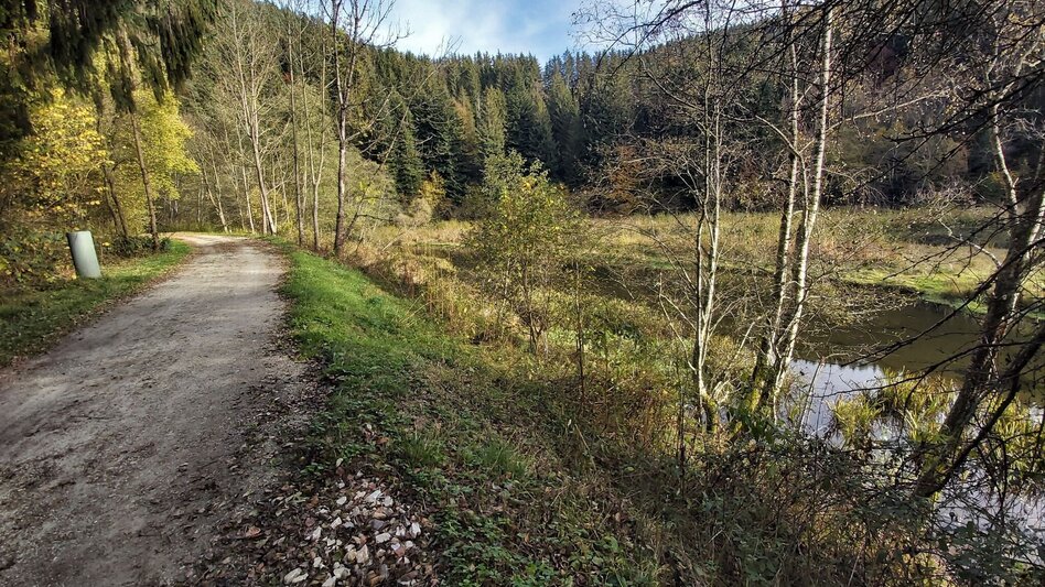 Radfahren Waldheimat Runde, Birkfeld - Touren-Impression #2.17 | © Oststeiermark Tourismus