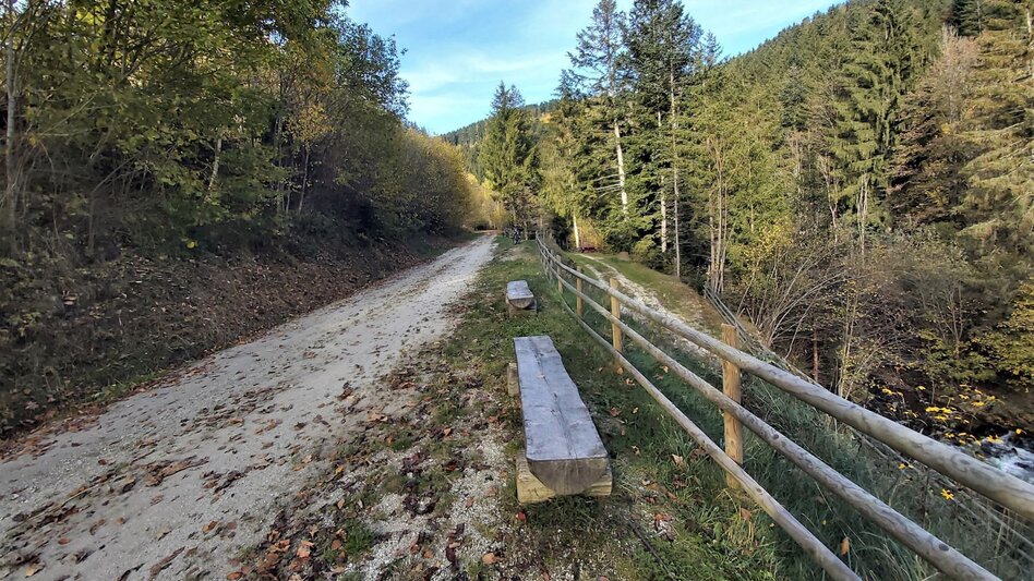Radfahren Waldheimat Runde, Birkfeld - Touren-Impression #2.18 | © Oststeiermark Tourismus