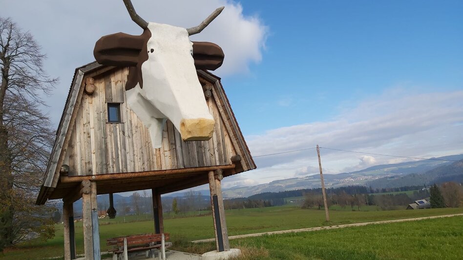 Radfahren Waldheimat Runde, Birkfeld - Touren-Impression #2.9 | © Oststeiermark Tourismus