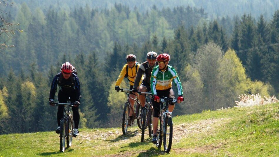Radfahren Waldheimat Runde, Birkfeld - Touren-Impression #2.1 | © Tourismusverband Oststeiermark
