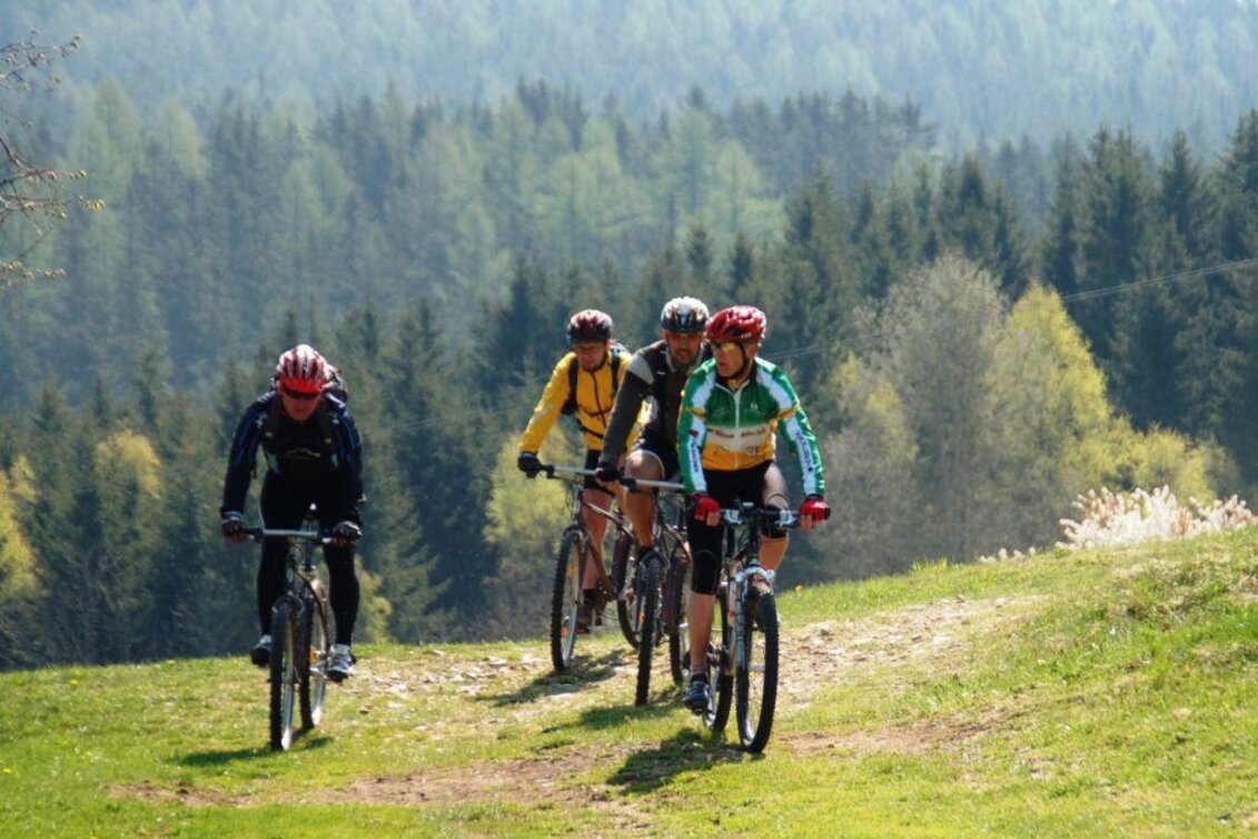 Radfahren Waldheimat Runde, Birkfeld - Touren-Impression #1 | © Tourismusverband Oststeiermark