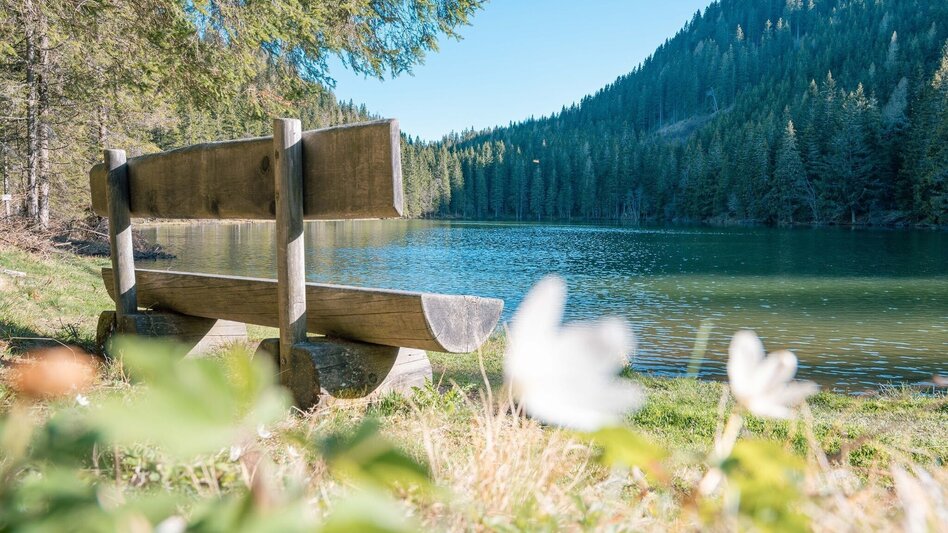 Wanderung Von St. Lambrecht über den Auerlingsee zur Grebenzen - Touren-Impression #2.3 | © Tourismusverband Murau