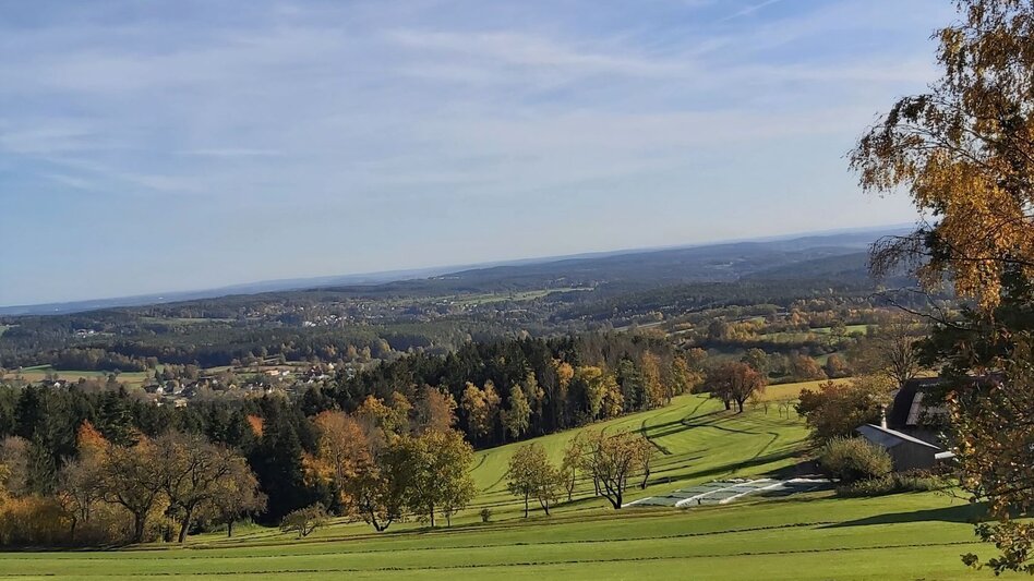 Radfahren Hilmtor Runde, Friedberg - Touren-Impression #2.7 | © Oststeiermark Tourismus