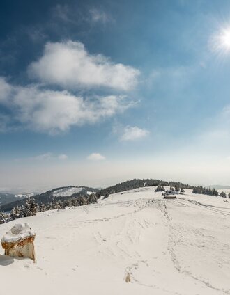 Winterlandschaft vom Gaberl zum Alten Almhaus | Die Abbilderei | © Region Graz