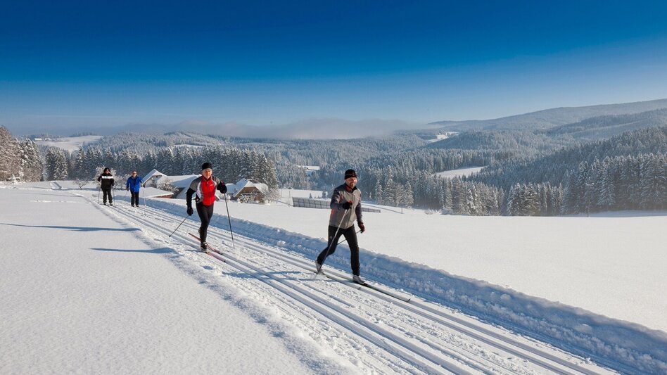 Ski-nordic-classic Gaberl – Altes Almhaus – Salzstieglhaus - Touren-Impression #2.3 | © Region Graz