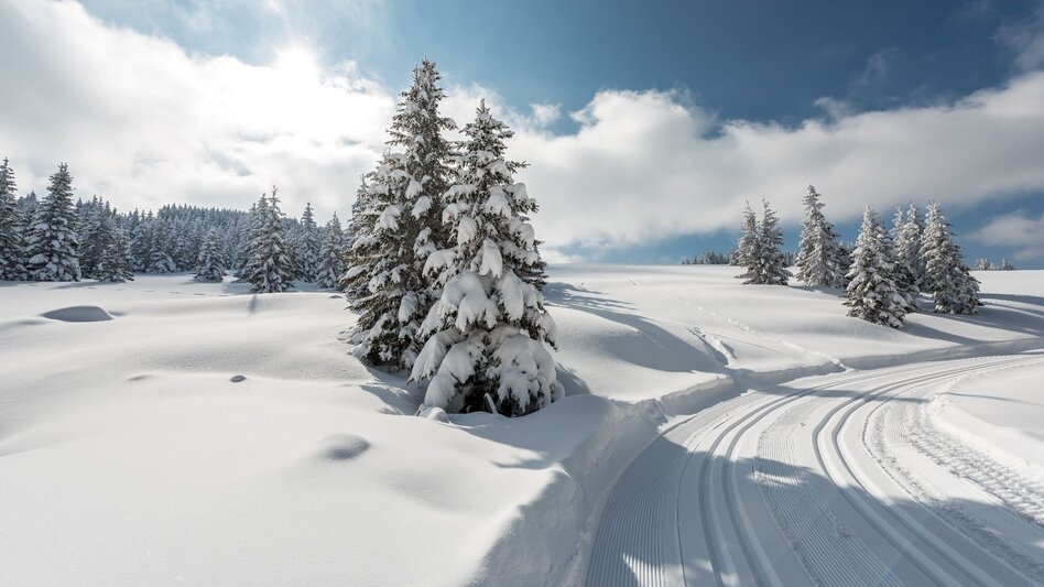 Ski-nordic-classic Gaberl – Altes Almhaus – Salzstieglhaus - Touren-Impression #2.5 | © Region Graz