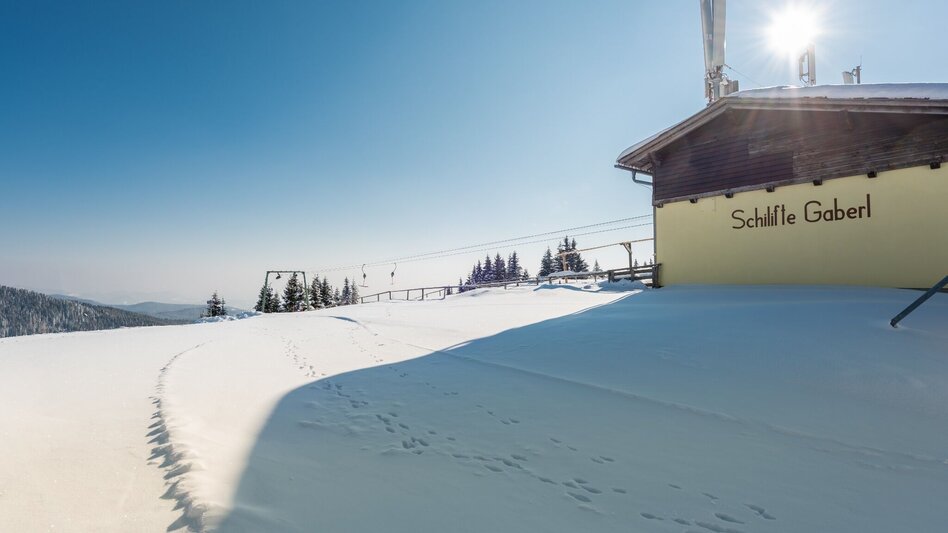 Ski-nordic-classic Gaberl – Altes Almhaus – Salzstieglhaus - Touren-Impression #2.7 | © Region Graz