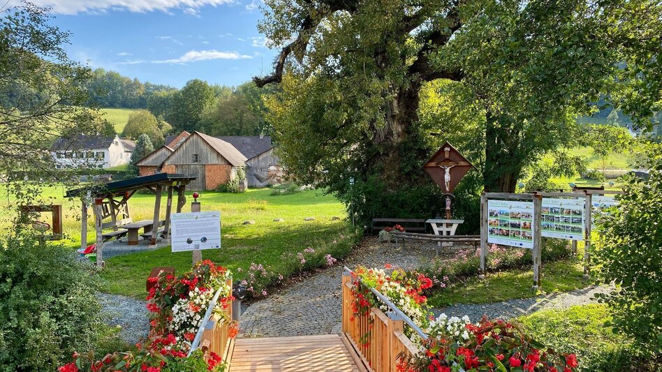 Theme path Experience path Oberlamm (ERLebenspfad Oberlamm) - Touren-Impression #2.3 | © Gemeinde Unterlamm