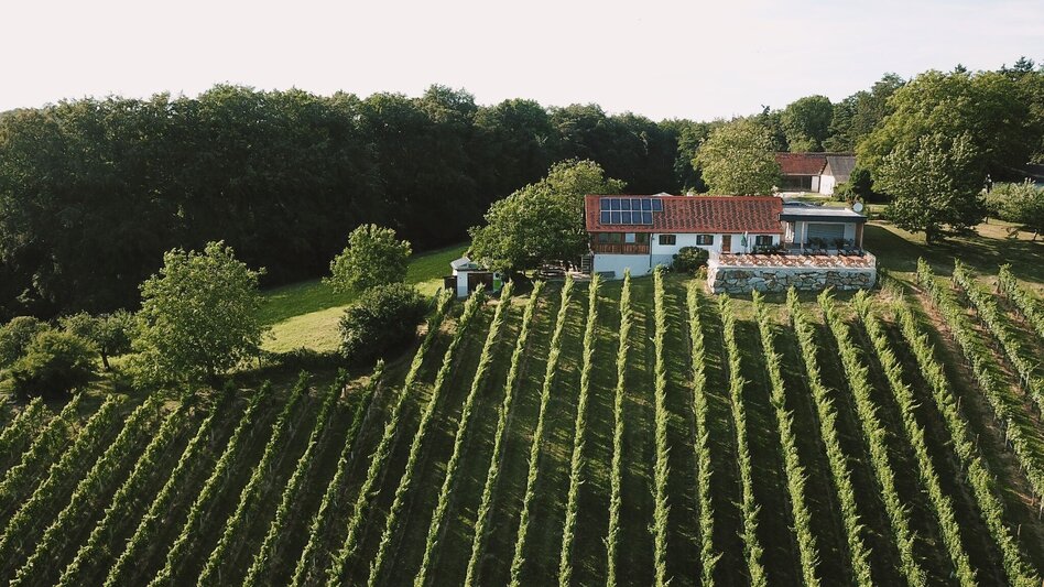 Theme path Experience path Oberlamm (ERLebenspfad Oberlamm) - Touren-Impression #2.7 | © Gemeinde Unterlamm