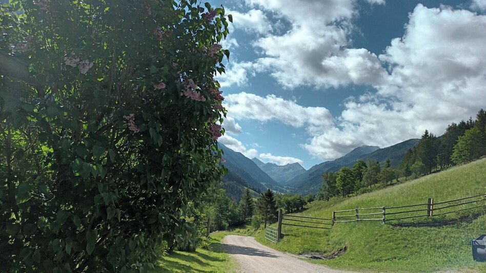Hiking route Panorama path Fleiß - Touren-Impression #2.1