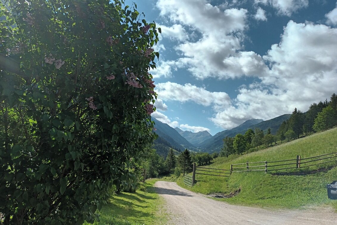 Hiking route Panorama path Fleiß - Touren-Impression #1