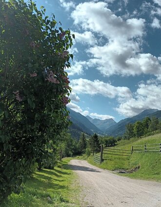 Panoramaweg Fleiß 10 (c) Anita Egger.jpg