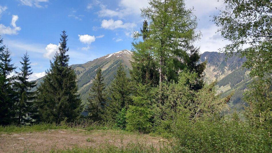 Hiking route Panorama path Fleiß - Touren-Impression #2.2