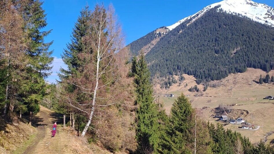 Hiking route Panorama path Fleiß - Touren-Impression #2.3