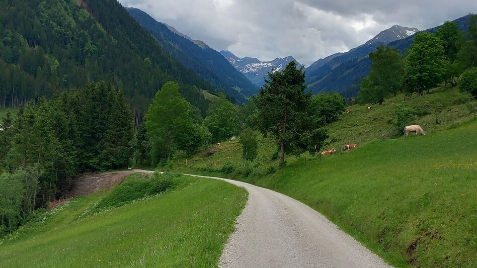 Hiking route Panorama path Fleiß - Touren-Impression #2.4 | © Anita Egger