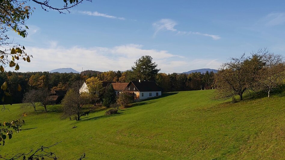 Bike Riding Obstland Tour, Weiz - Pischelsdorf - Touren-Impression #2.2 | © Oststeiermark Tourismus