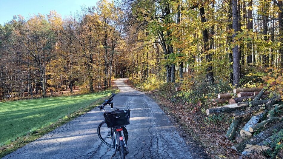 Bike Riding Obstland Tour, Weiz - Pischelsdorf - Touren-Impression #2.7 | © Oststeiermark Tourismus