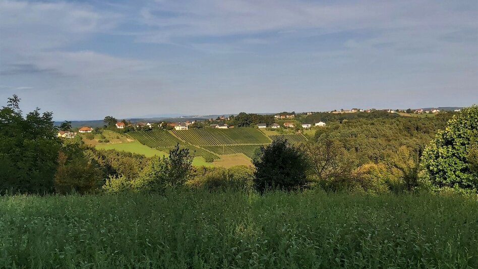 Bike Riding Obstland Tour, Weiz - Pischelsdorf - Touren-Impression #2.13 | © Oststeiermark Tourismus