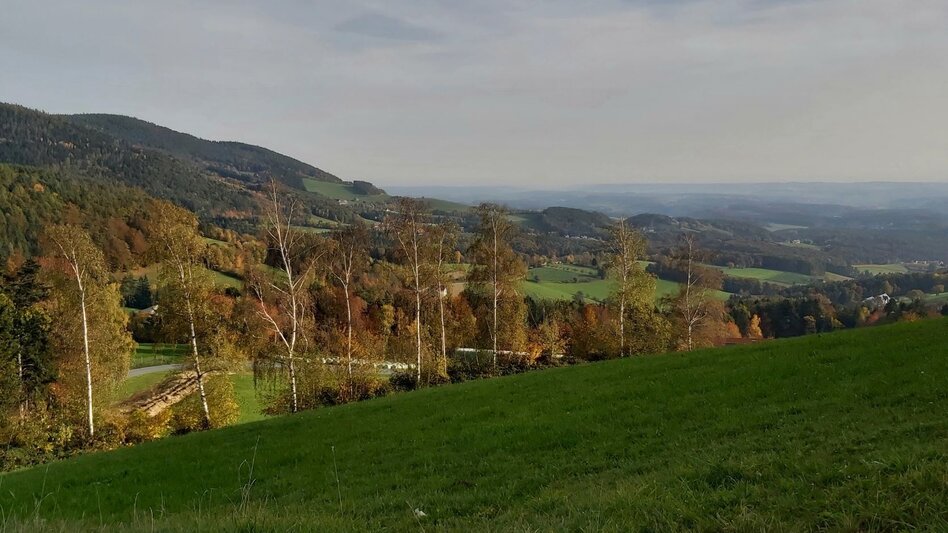 Bike Riding Flora circuit, Pöllau - Pöllauberg - Touren-Impression #2.6 | © Oststeiermark Tourismus