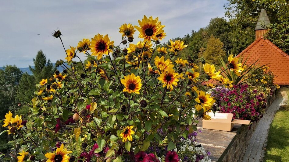 Bike Riding Flora circuit, Pöllau - Pöllauberg - Touren-Impression #2.9 | © Oststeiermark Tourismus