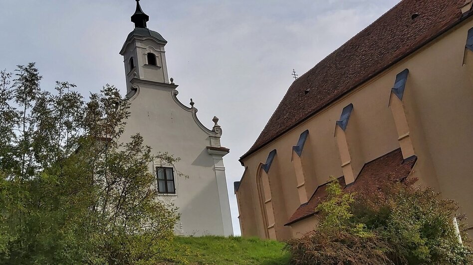 Bike Riding Flora circuit, Pöllau - Pöllauberg - Touren-Impression #2.10 | © Oststeiermark Tourismus