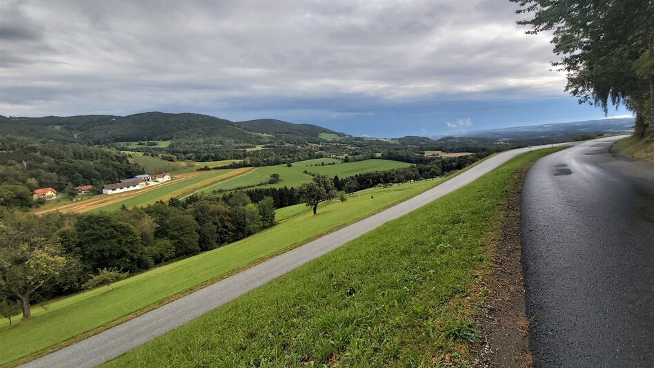 Bike Riding Flora circuit, Pöllau - Pöllauberg - Touren-Impression #2.11 | © Oststeiermark Tourismus