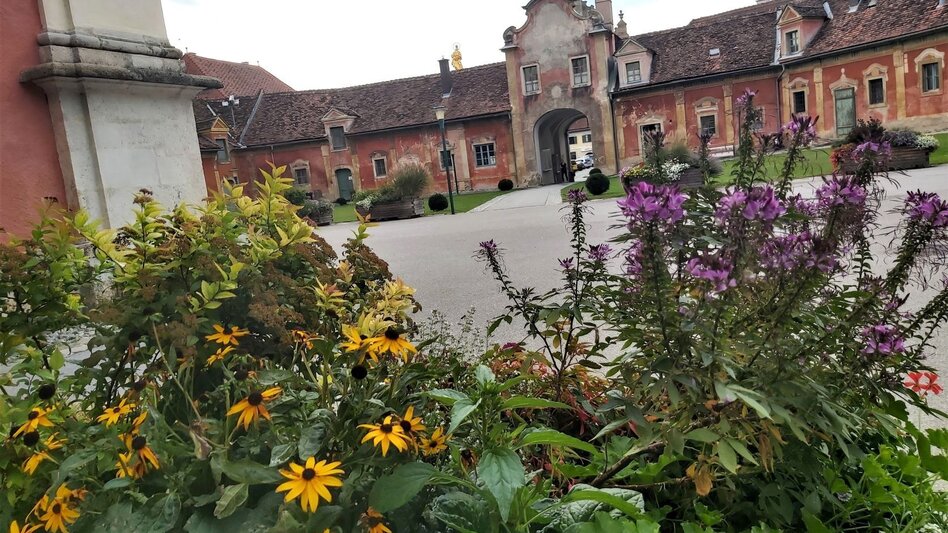 Radfahren Land-Stadt-Runde, Pöllau - Hartberg - Touren-Impression #2.5 | © Oststeiermark Tourismus