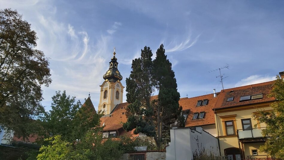 Radfahren Land-Stadt-Runde, Pöllau - Hartberg - Touren-Impression #2.9 | © Oststeiermark Tourismus