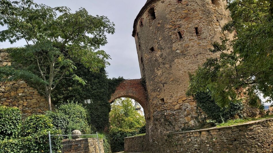 Radfahren Land-Stadt-Runde, Pöllau - Hartberg - Touren-Impression #2.10 | © Oststeiermark Tourismus