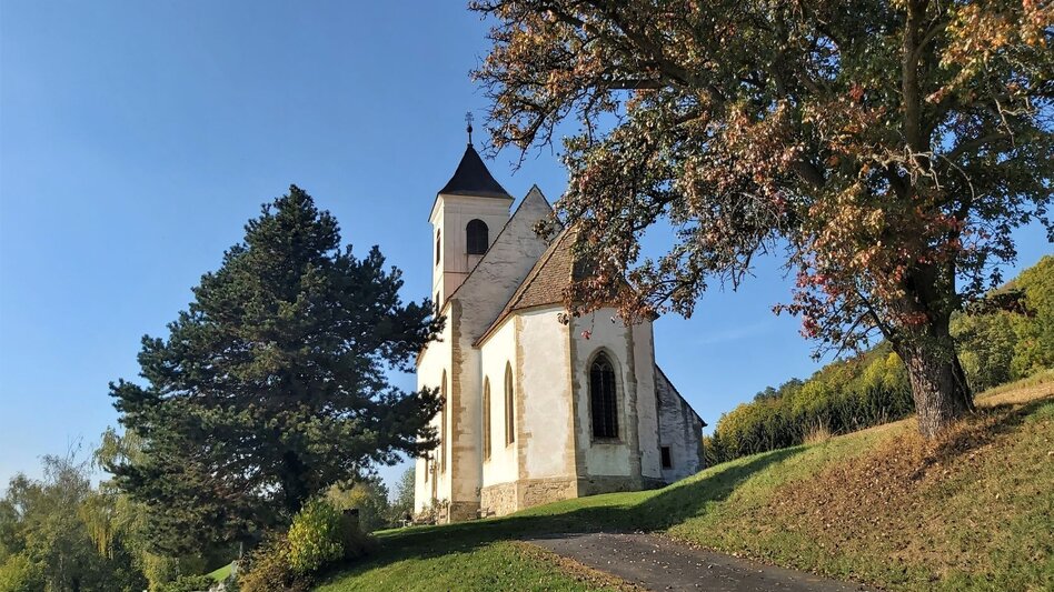 Radfahren Land-Stadt-Runde, Pöllau - Hartberg - Touren-Impression #2.15 | © Oststeiermark Tourismus