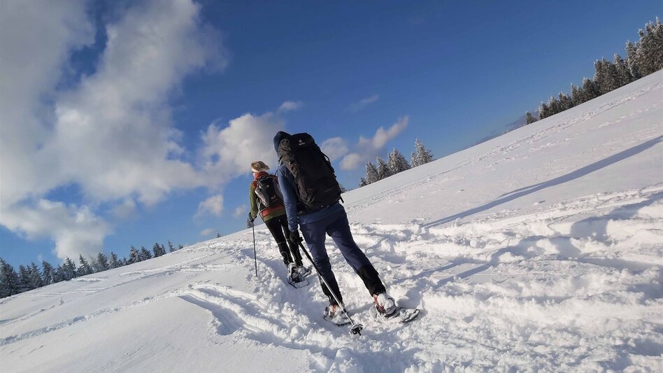 Winter Hiking Snowshoe hike on Plankogel, Sommeralm - Touren-Impression #2.1 | © Oststeiermark Tourismus