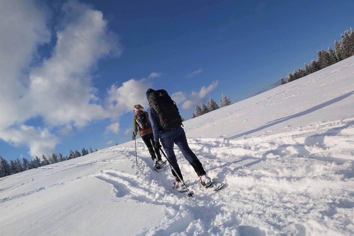Winter Hiking Snowshoe hike on Plankogel, Sommeralm - Touren-Impression #1 | © Oststeiermark Tourismus