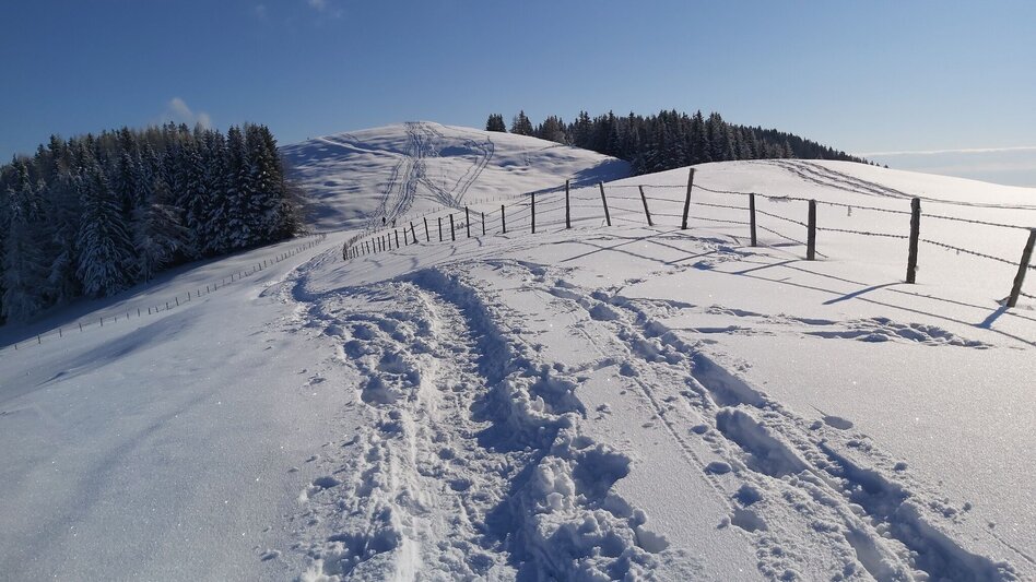 Winter Hiking Snowshoe hike on Plankogel, Sommeralm - Touren-Impression #2.2 | © Oststeiermark Tourismus