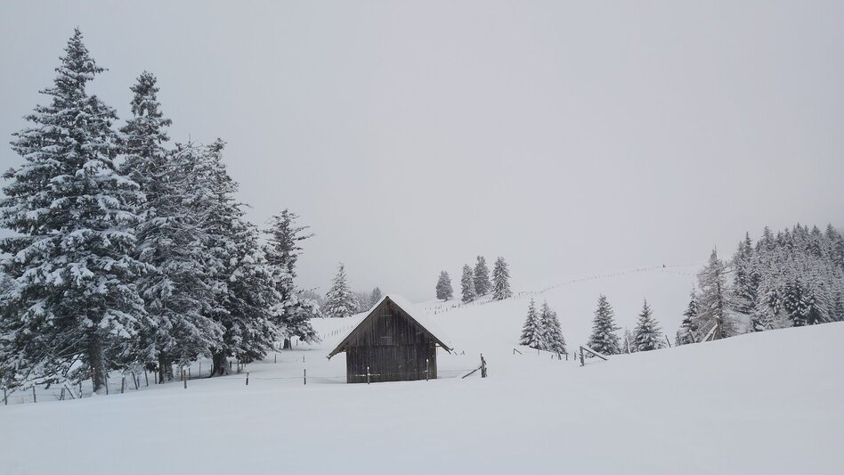 Winter Hiking Snowshoe hike on Plankogel, Sommeralm - Touren-Impression #2.5 | © Oststeiermark Tourismus