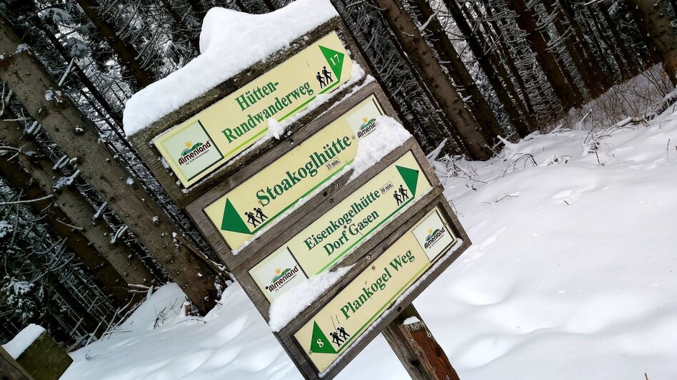 Winter Hiking Snowshoe hike on Plankogel, Sommeralm - Touren-Impression #2.6 | © Oststeiermark Tourismus