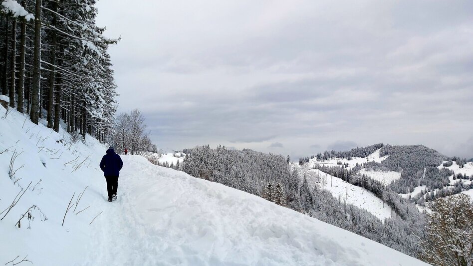 Winter Hiking Snowshoe hike on Plankogel, Sommeralm - Touren-Impression #2.7 | © Oststeiermark Tourismus