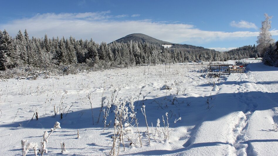 Winter Hiking Snowshoe hike on Heulantsch, Teichalm - Touren-Impression #2.2 | © Oststeiermark Tourismus
