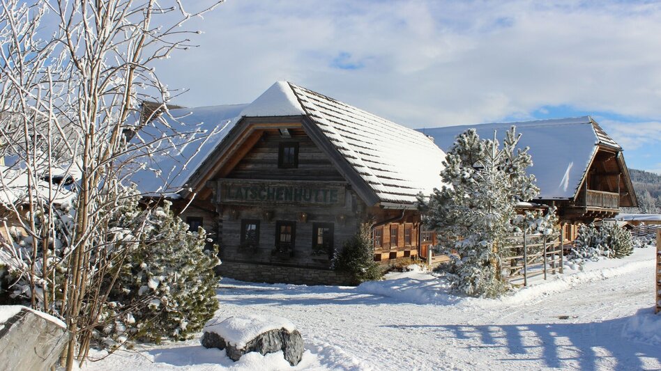 Winter Hiking Snowshoe hike on Heulantsch, Teichalm - Touren-Impression #2.3 | © Oststeiermark Tourismus