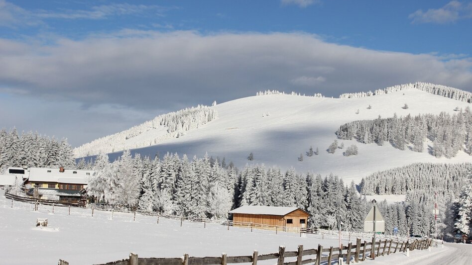 Winter Hiking Snowshoe hike on Heulantsch, Teichalm - Touren-Impression #2.4 | © Oststeiermark Tourismus