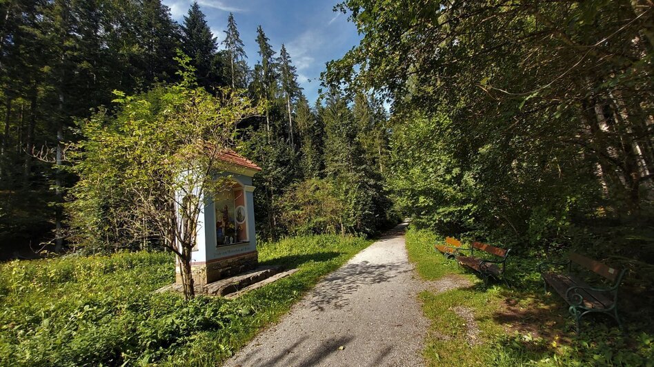 Bike Riding Raabklamm family tour, St. Ruprecht an der Raab - Weiz - Touren-Impression #2.1 | © Oststeiermark Tourismus